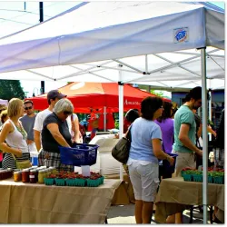 The Ambler Farmers Market - Ambler