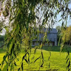 Burnside Plantation - Bethlehem