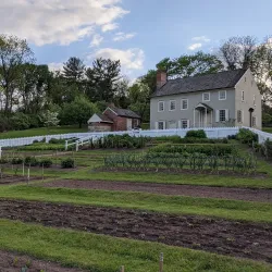 Burnside Plantation - Bethlehem