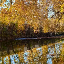 Bridgeville Community Park - Bridgeville