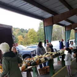 Bridgeville Farmers Market - Bridgeville