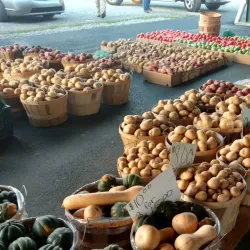 Bridgeville Farmers Market - Bridgeville