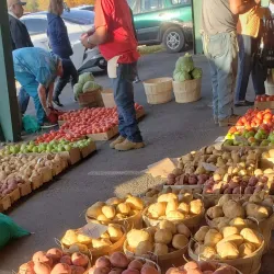 Bridgeville Farmers Market - Bridgeville