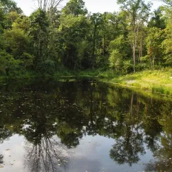 Pittsburgh Botanic Garden - Bridgeville