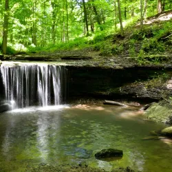 Settlers Cabin Park - Bridgeville