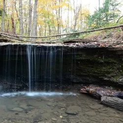 Settlers Cabin Park - Bridgeville