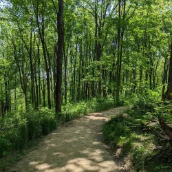 Settlers Cabin Park - Bridgeville