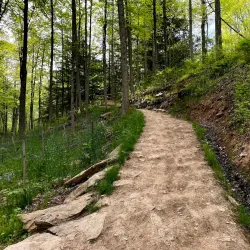 Settlers Cabin Park - Bridgeville