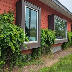 The Bridgeville Public Library - Bridgeville