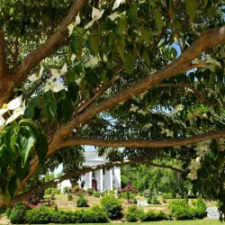 Boiling Springs Lake and Park - Carlisle