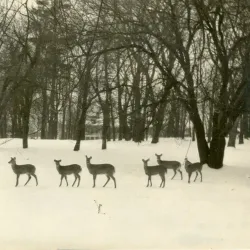 Cumberland County Historical Society Museum - Carlisle