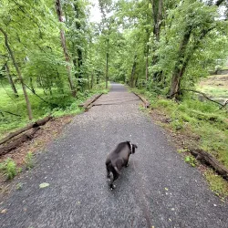 Letort Spring Run Nature Trail - Carlisle