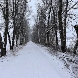 Letort Spring Run Nature Trail - Carlisle