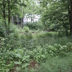 Letort Spring Run Nature Trail - Carlisle