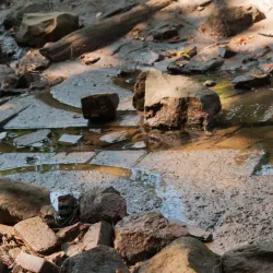 Clarion River - Clarion