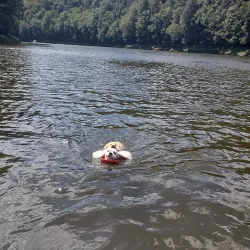 Clarion River - Clarion