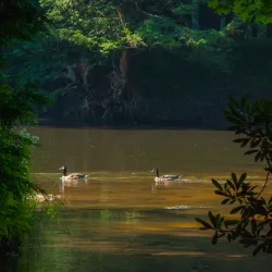 Clarion River - Clarion