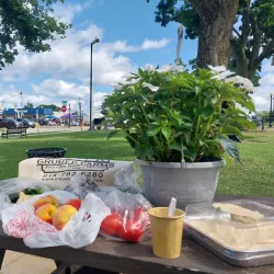 Clarion Town Park - Clarion