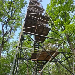 Cook Forest State Park Fire Tower - Clarion