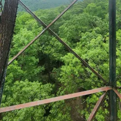 Cook Forest State Park Fire Tower - Clarion