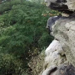 Cook Forest State Park - Clarion