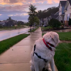 Venango Trail - Clarion