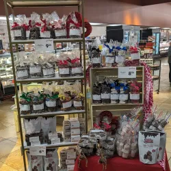 Cranberry Mall - Cranberry Township