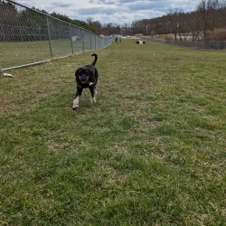 Cranberry Township Community Park - Cranberry Township