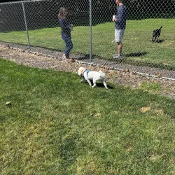 Cranberry Township Community Park - Cranberry Township