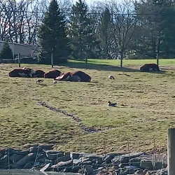 Cranberry Township Historical Society - Cranberry Township