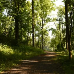 North Boundary Park - Cranberry Township