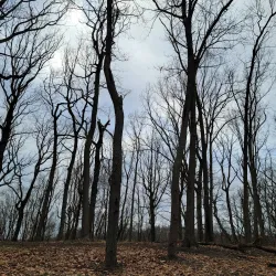 North Boundary Park - Cranberry Township