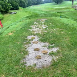 Downingtown Country Club - Downingtown