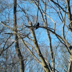 Downtown Downingtown - Downingtown