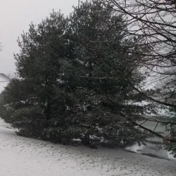 Downtown Downingtown - Downingtown