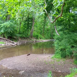 Hibernia County Park - Downingtown