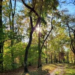 Hibernia County Park - Downingtown