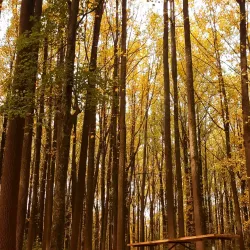 Hibernia County Park - Downingtown