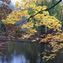 Struble Trail - Downingtown
