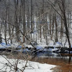 Struble Trail - Downingtown