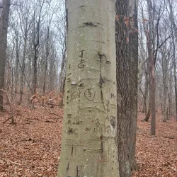 Struble Trail - Downingtown