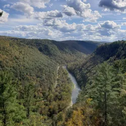 Colton Point State Park - Elkland