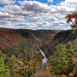 Tioga State Forest - Elkland