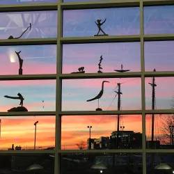 Blasco Library - Erie