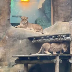 Erie Zoo & Botanical Gardens - Erie