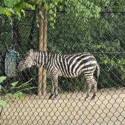 Erie Zoo & Botanical Gardens - Erie