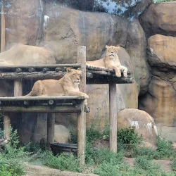 Erie Zoo & Botanical Gardens - Erie