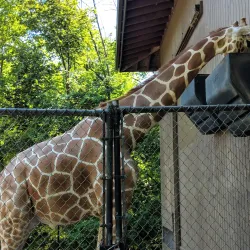 Erie Zoo & Botanical Gardens - Erie
