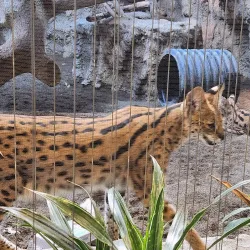 Erie Zoo & Botanical Gardens - Erie