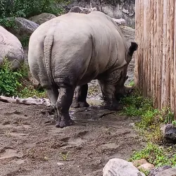 Erie Zoo & Botanical Gardens - Erie